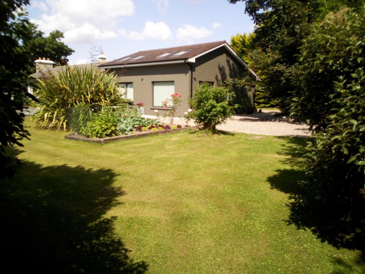 Spacious Contemporary Chalet Type Apartment. Galway Exterior foto